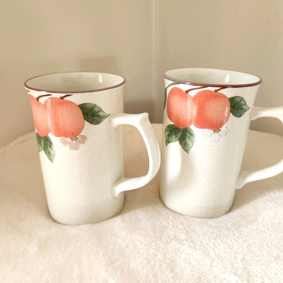 Mikasa Other - NWOT MIKASA Country Classics Fruit Panorama Cappuccino Coffee Mug Tea Cup Set